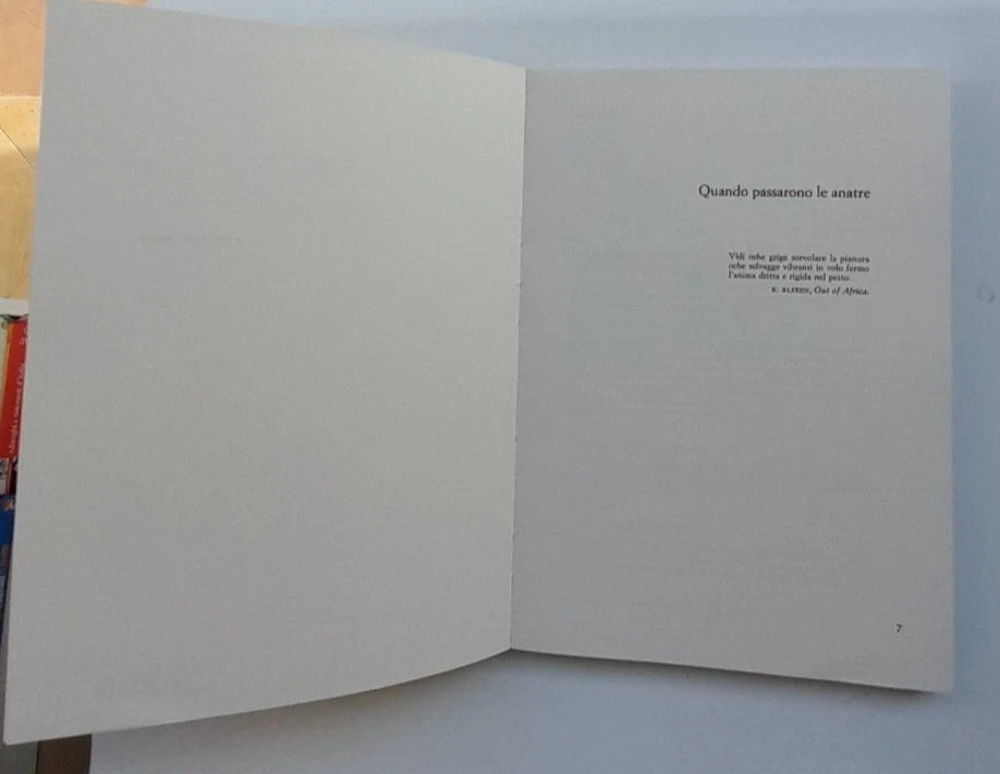 QUANDO PASSARONO LE ANATRE. GIUSEPPE BUFALARI. EINAUDI EDITORE. COLLANA: EINAUDI "RAGAZZI" 71.  1° EDIZIONE 1982.