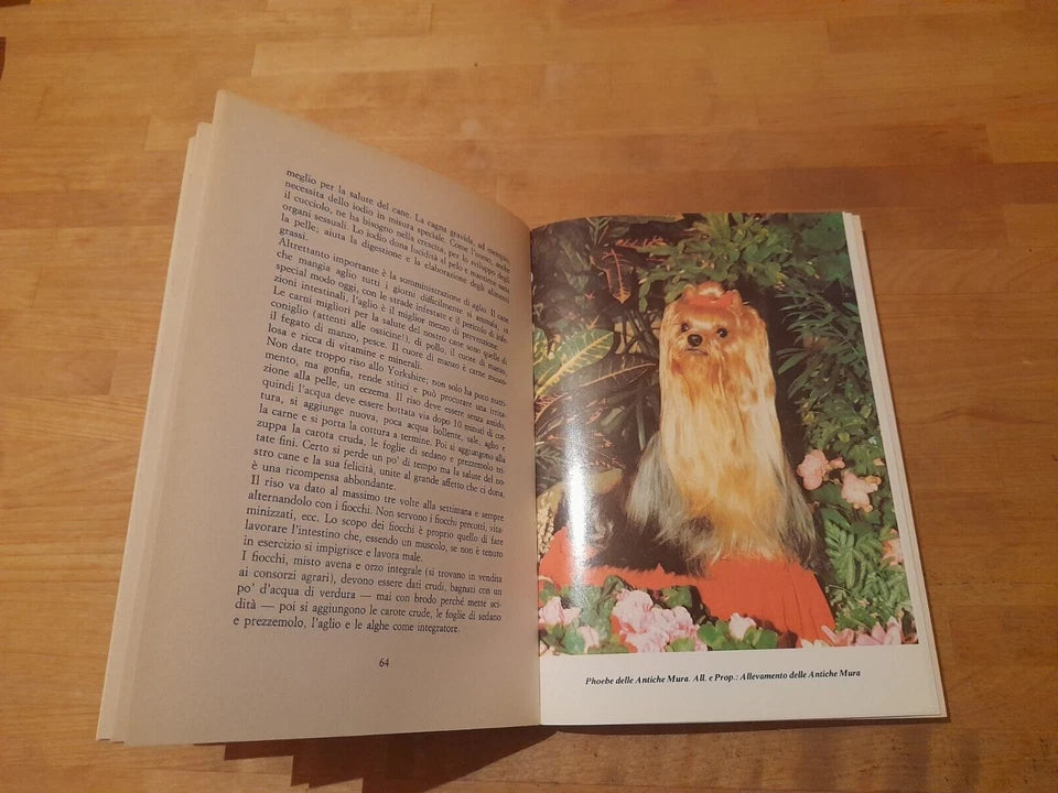 LO YORKSHIRE TERRIER. GIULIANA AZZIMONTI. DE VECCHI EDITORE, 1988. ORIGINE, STANDARD, ALIMENTAZIONE, EDUCAZIONE, IGIENE ED ESTETICA, MALATTIE E CURE, PSICOLOGIA.