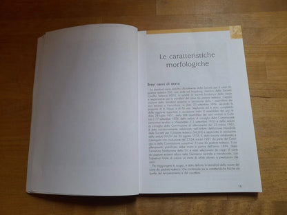 IL MIO PASTORE TEDESCO. EDUCARLO, ADDESTRARLO, CURARLO, AMARLO. GIORGIO TEICH ALASIA. DE VECCHI EDITORE 2008. COLLANA: TUTTO DA SCOPRIRE!.