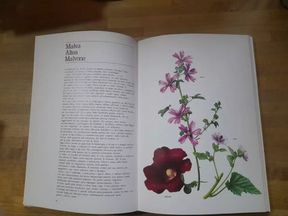 LE PIANTE DELLA SALUTE. ATLANTE DELLE PIANTE MEDICINALI. AA.VV. MONDADORI 1980.