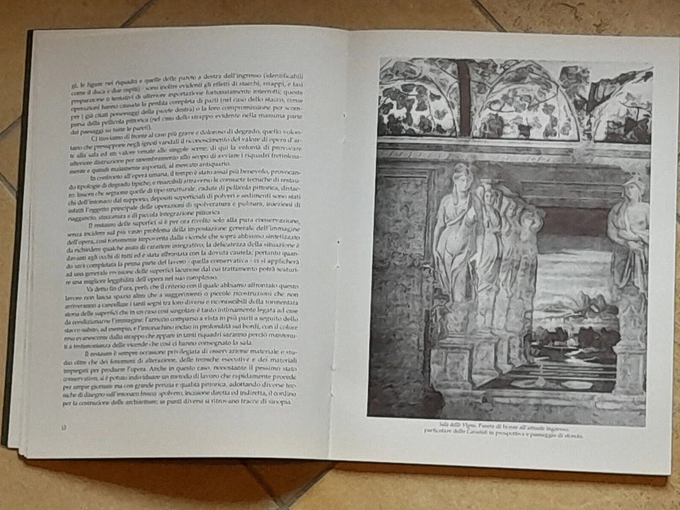 ARTE E STORIA A BELRIGUARDO. LA SALA DELLE VIGNE. AA.VV. BELRIGURDO EDITRICE. RISTAMPA  1997. MOSTRA STORICO - ICONOGRAFICA SU BELRIGUARDO.