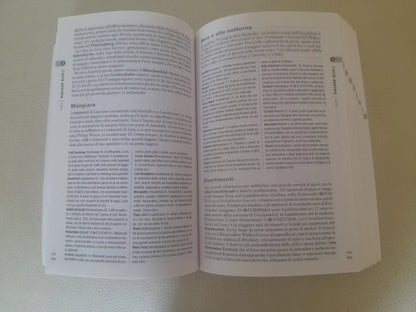 AUSTRIA. THE ROUGH GUIDE. JONATHAN BOUSFIELF - ROB HUMPHREYS. 2° EDIZIONE VALLARDI VIAGGI 2008. COLLANA: ROUGH GUIDES.