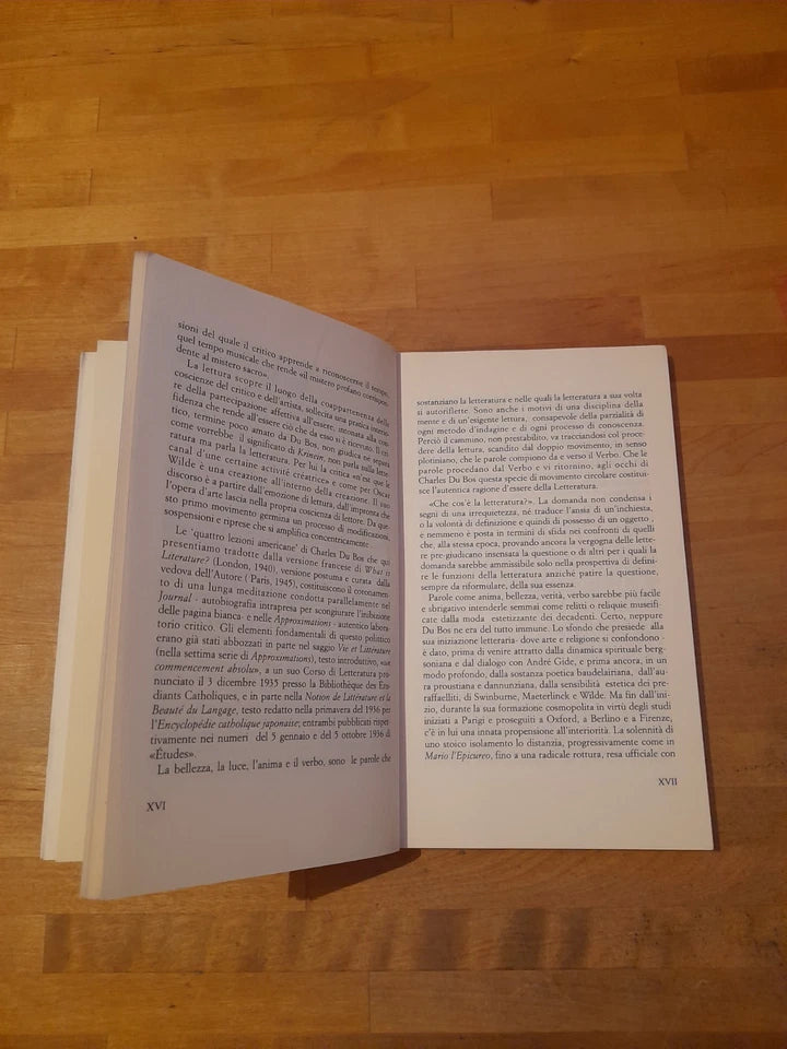 CHE COS’E’ LA LETTERATURA?. CHARLES  DU BOS. A CURA DI ADRIANO MARCHETTI. PANOZZO EDITORE. 1° EDIZIONE 1996. COLLANA: IN FRANCHIGIA II.