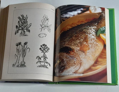 500 RICETTE SENZA GRASSI. ALBA ALLOTTA. NEWTON COMPTON EDITORI. 1° EDIZIONE 2016. COLLANA: MANUALI DI CUCINA.