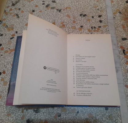 ALDILA'. LA VITA CONTINUA?. UN'INDAGINE SORPRENDENTE. ROBERTO GIACOBBO. RAI ERI MONDADORI EDITORE. 1° EDIZIONE APRILE 2011. COLLEZIONE: INGRANDIMENTI.
