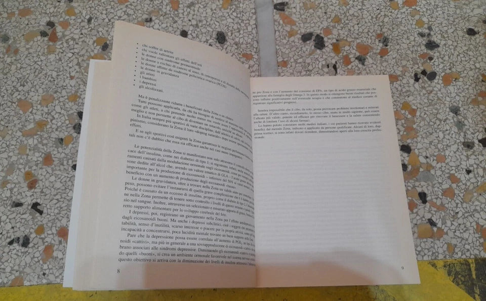 LA ZONA ITALIANA. GIGLIOLA BRAGA. NUOVA EDIZIONE AMPLIATA E AGGIORNATA. SPERLING & KUPFER EDITORI. RISTAMPA 2007.