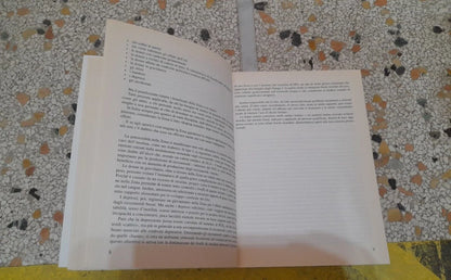 LA ZONA ITALIANA. GIGLIOLA BRAGA. NUOVA EDIZIONE AMPLIATA E AGGIORNATA. SPERLING & KUPFER EDITORI. RISTAMPA 2007.