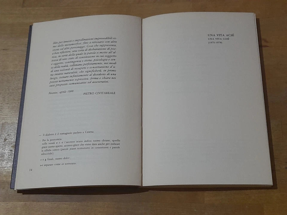 UNA VITA ACSE'.  WALTER GALLI. EDIZIONI DEL LEONE. 1° EDIZIONE 1989. COLLANA: I PIOMBI POESIA.