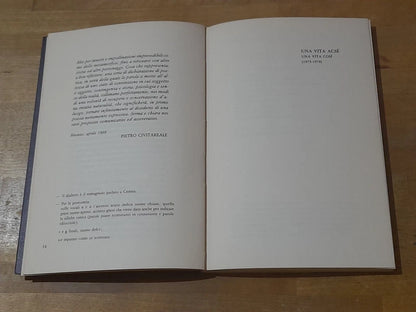 UNA VITA ACSE'.  WALTER GALLI. EDIZIONI DEL LEONE. 1° EDIZIONE 1989. COLLANA: I PIOMBI POESIA.
