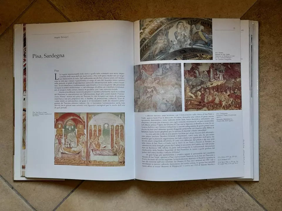 PITTURA MURALE IN ITALIA DAL TARDO DUECENTO AI PRIMI DEL QUATTROCENTO. MINA GREGORI. EDIZIONE FUORI COMMERCIO RISERVATA AL GRUPPO SAN PAOLO, OTTOBRE 1995. COLLANA: PITTURA MURALE IN ITALIA.