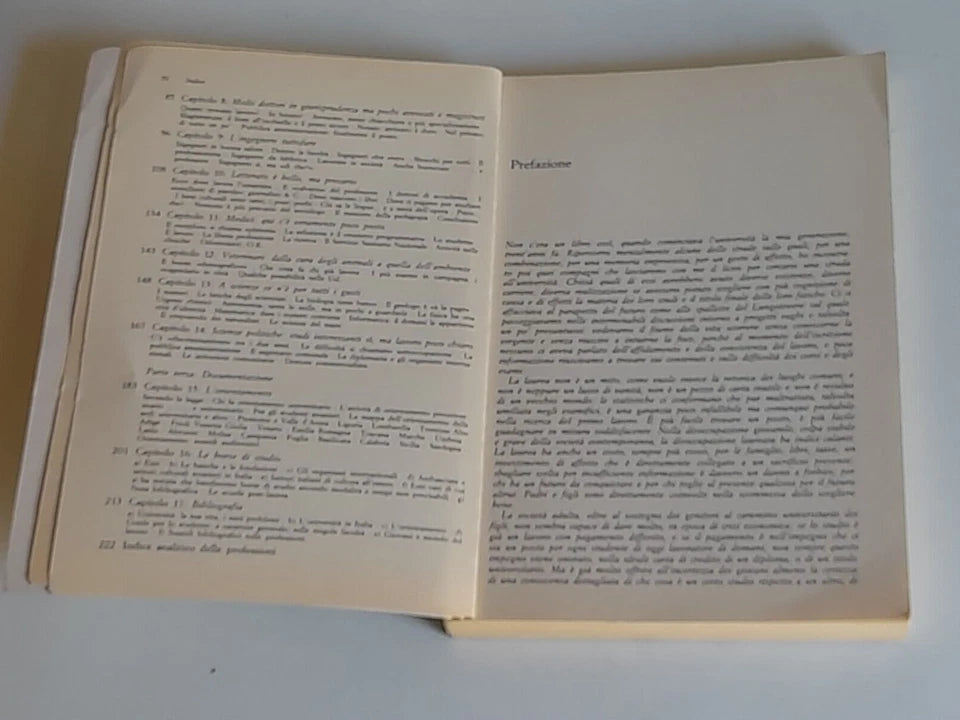 IL LAVORO DEL LAUREATO. FABRIZIO FERRAGNI - RAFFAELLO MASCI. GUIDA ALLE PROFESSIONI POST-UNIVERSITARIE. 1° EDIZIONE FEBBRAIO 1984. ZANICHELLI EDITORE. COLLANA: PROSPETTIVE DIDATTICHE.
