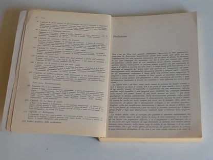 IL LAVORO DEL LAUREATO. FABRIZIO FERRAGNI - RAFFAELLO MASCI. GUIDA ALLE PROFESSIONI POST-UNIVERSITARIE. 1° EDIZIONE FEBBRAIO 1984. ZANICHELLI EDITORE. COLLANA: PROSPETTIVE DIDATTICHE.