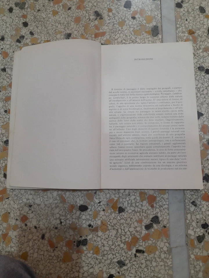 LA GEOGRAFIA NELLA SOCIETA' INDUSTRIALE. PIERRE GEORGE. FRANCO ANGELI EDITORE. 6° EDIZIONE 1987. COLLANA: GEOGRAFIA UMANA, DIRETTA DA LUCIO GAMBI.