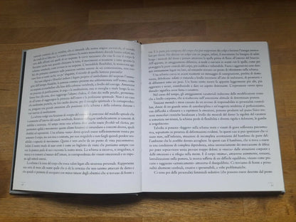 SCHIENE. LORENZO CAPELLINI. UMBERTO ALLEMANDI & C. EDITORI. 1° EDIZIONE 2000. ILLUSTRATO.
