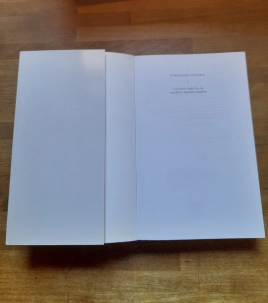 CODICE DEI DIRITTI UMANI E FONDAMENTALI. UMBERTO VINCENTI. COLLANA: FORMAZIONE GIURIDICA 8. EDIZIONI PLUS 2011.