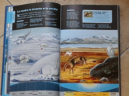 GLI ANIMALI DELL'ESTREMO. NATHALIE TORDJMAN E ANNE-LAURE FOURNIER LE RAY. LARUS EDIZIONI 2007. IMMAGINI DOC.