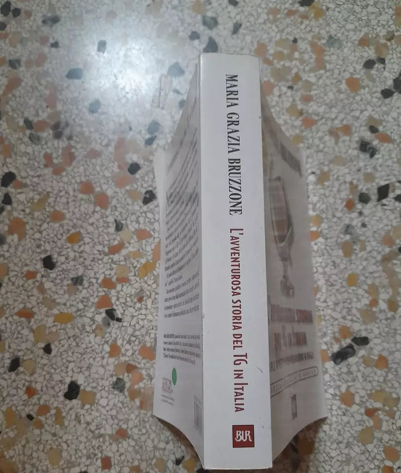 L'AVVENTUROSA STORIA DEL TG IN ITALIA. MARIA GRAZIA BRUZZONE. BUR / RIZZOLI EDITORE. COLLANA: BUR SB SAGGI. 1° EDIZIONE 2002.