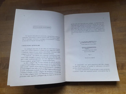 COMPENDIO DI REUMATOLOGIA. PROF. BRUNO COLOMBO - DOTT. LUIGI SINIGAGLIA. CORTINA EDIZIONI. 1° EDIZIONE 1979.