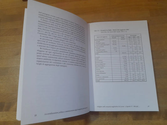 LA SOCIALIZZAZIONE POLITICA E AMMINISTRATIVA DEGLI IMMIGRATI EXTRACOMUNITARI. SANZIO TOGNI. SOCIETA' EDITRICE "IL PONTE VECCHIO" 1993. COLLANA: PRAXIS - SAGGI E RICERCHE DI SCIENZE ECONOMICHE E SOCIALI - 1.