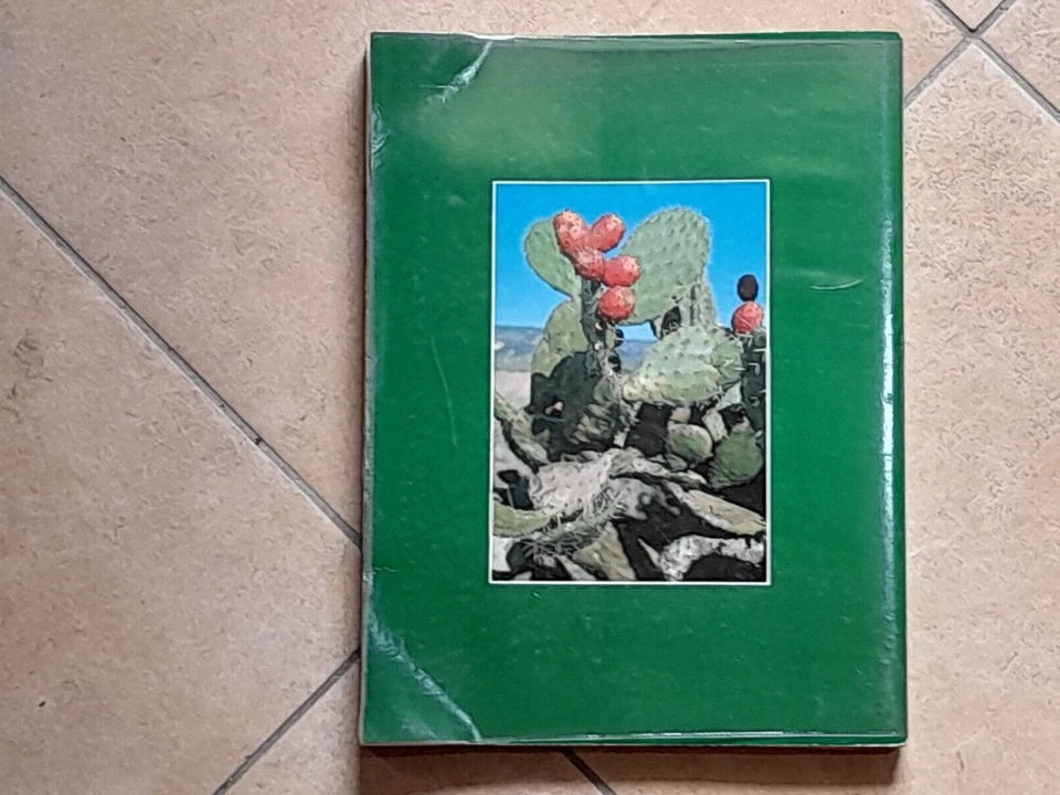 SARDEGNA. EDIZIONI BALZANO - OLBIA, 1985. AA.VV. 275 TAVOLE A COLORI.