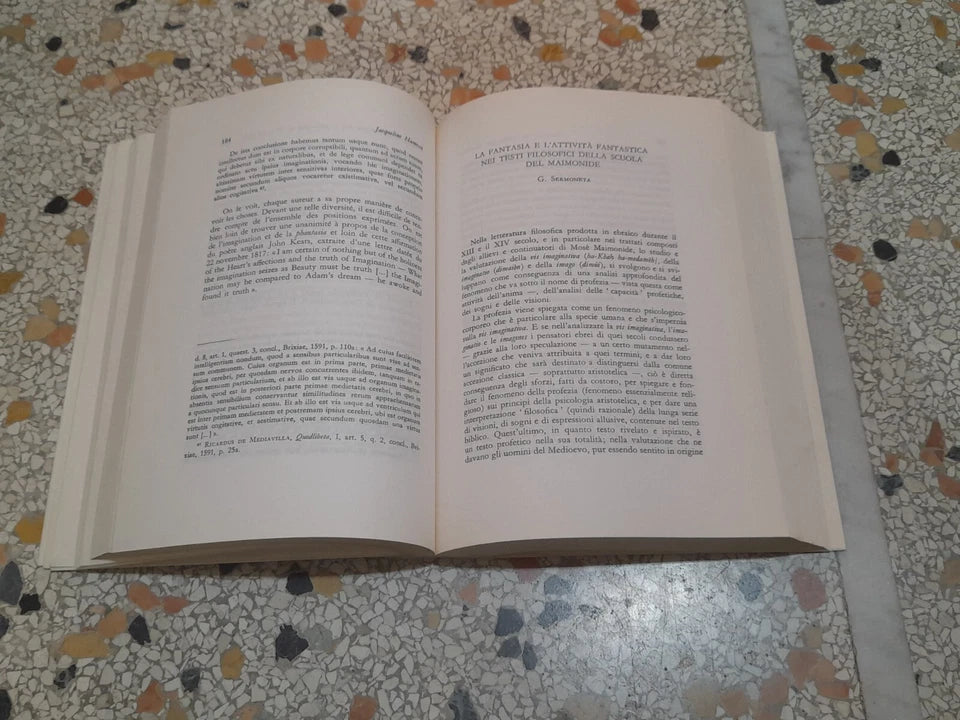 PHANTASIAIMAGINATIO. ATTI A CURA DI M. FATTORI - M. BIANCHI. EDIZIONI DELL'ATENEO 1988.