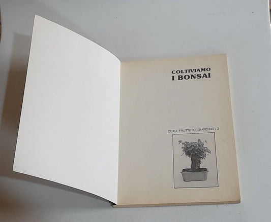 COLTIVIAMO I BONSAI. VANNA TRIDI. OTTAVIANO MISTRAL EDIZIONI. XI EDIZIONE 1990. COLLANA: ORTO,FRUTTETO, GIARDINO / 3.