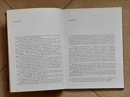 BAGHDAD E LA SUA GENTE. KARIM METREF. EDIZIONI: FONDAZIONE TERRE DES HOMMES. LIBRO + DVD. 1° EDIZIONE 2005.