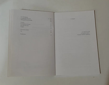 HO UNA MUSICA NEL CUORE. APPUNTI DI VIAGGIO. BARBARA CURCIO RUBERTINI. PENDRAGON EDIZIONI. 1° EDIZIONE 2004. COLLANA: RACCONTI.