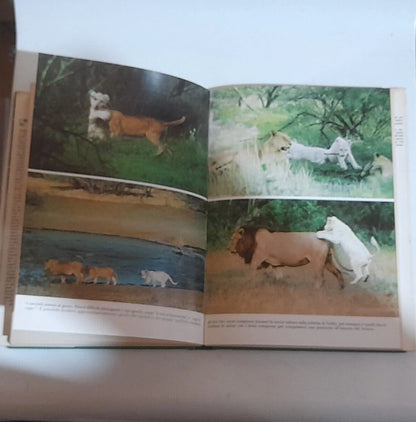 I BIANCHI LEONI DI TIMBAVATI. CHRIS McBRIDE. RIZZOLI EDITORE. RISTAMPA 1978.