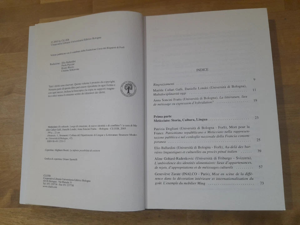 IL METICCIATO CULTURALE. LUOGO DI CREAZIONE, DI NUOVE IDENTITA' O DI CONFLITTO?. AA.VV. CLUEB EDIZIONI 2005. COLLANA: HEURESIS III.