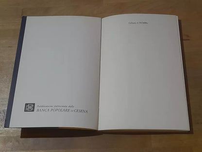 UNA VITA ACSE'.  WALTER GALLI. EDIZIONI DEL LEONE. 1° EDIZIONE 1989. COLLANA: I PIOMBI POESIA.