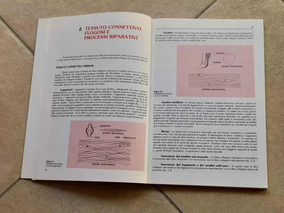 LESIONI DEI TESSUTI MOLLI IN MEDICINA DELLO SPORT. SYLVIA LACHMANN. MOMENTO MEDICO EDIZIONI. EDIZIONE ITALIANA 1989.