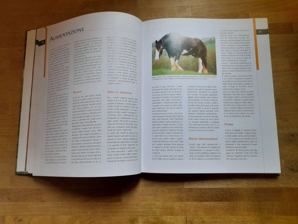 CAVALLI DA SELLA. GIANNI RAVAZZI. DE VECCHI EDITORE. RISTAMPA 2009. COLLANA: ANIMALI.