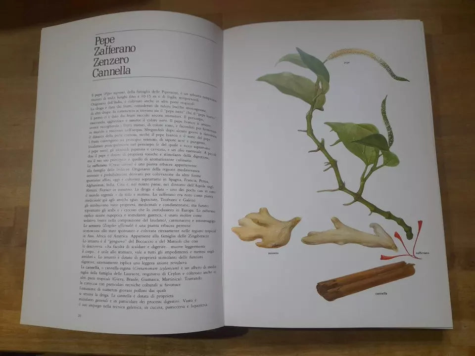 LE PIANTE DELLA SALUTE. ATLANTE DELLE PIANTE MEDICINALI. AA.VV. MONDADORI 1980.