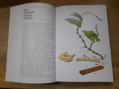 LE PIANTE DELLA SALUTE. ATLANTE DELLE PIANTE MEDICINALI. AA.VV. MONDADORI 1980.