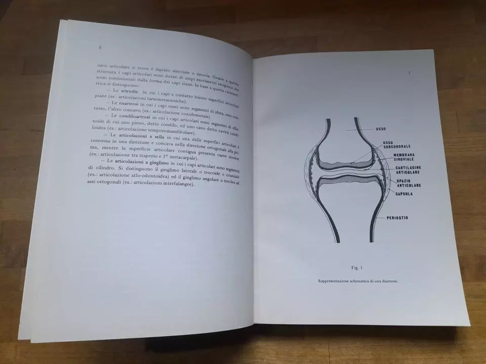 COMPENDIO DI REUMATOLOGIA. PROF. BRUNO COLOMBO - DOTT. LUIGI SINIGAGLIA. CORTINA EDIZIONI. 1° EDIZIONE 1979.