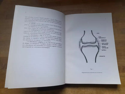 COMPENDIO DI REUMATOLOGIA. PROF. BRUNO COLOMBO - DOTT. LUIGI SINIGAGLIA. CORTINA EDIZIONI. 1° EDIZIONE 1979.