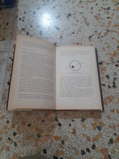 L'EREDITARIETA' FATTI E MISFATTI. ULRICO DI AICHELBURG. RIZZOLI EDITORE. 1° EDIZIONE 1990. COLLANA: OSSERVATORIO ITALIANO.