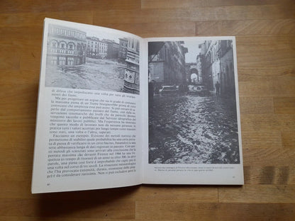 CALAMITA' NATURALI. PAOLO MIGLIORINI. EDITORI RIUNITI, 1981. COLLANA: LIBRI DI BASE 13.