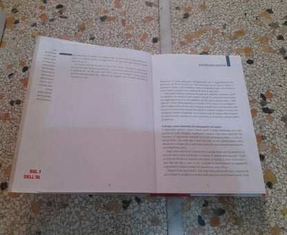 ALMANACCO ALIMENTARE 2019. GIORNO PER GIORNO UN ANNO DI RICETTE. AA.VV. CAIRO EDITORE. 1° EDIZIONE OTTOBRE 2018. COLLANA: EXTRA.