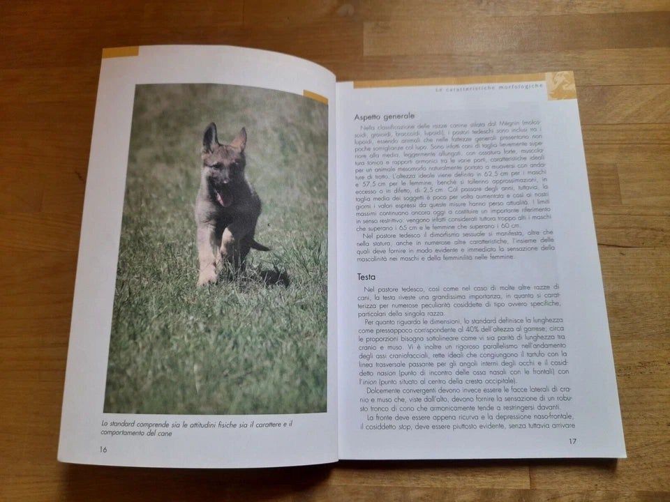 IL MIO PASTORE TEDESCO. EDUCARLO, ADDESTRARLO, CURARLO, AMARLO. GIORGIO TEICH ALASIA. DE VECCHI EDITORE 2008. COLLANA: TUTTO DA SCOPRIRE!.