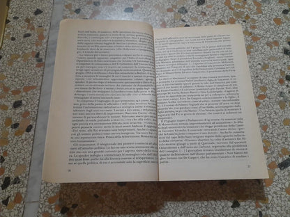 L'AVVENTUROSA STORIA DEL TG IN ITALIA. MARIA GRAZIA BRUZZONE. BUR / RIZZOLI EDITORE. COLLANA: BUR SB SAGGI. 1° EDIZIONE 2002.