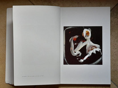 “LE CODE DELL'OCCHIO”. FRANCESCO MARTANI. UNIVERSITA' DI BOLOGNA, 1998. CURATORE: FRANCO SAVIGNANO.