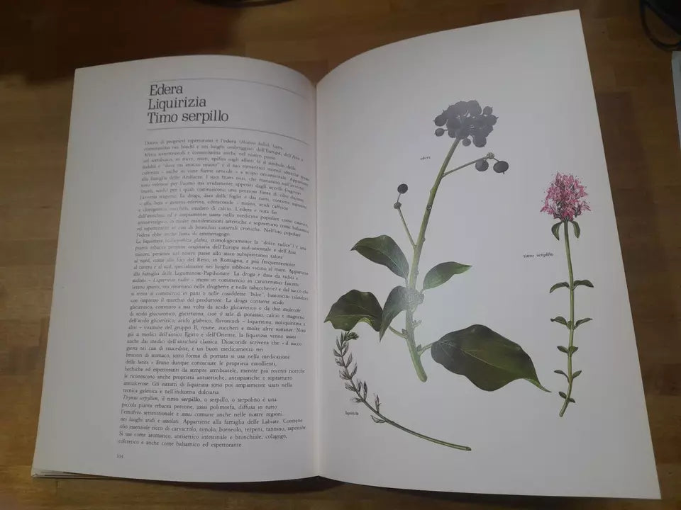 LE PIANTE DELLA SALUTE. ATLANTE DELLE PIANTE MEDICINALI. AA.VV. MONDADORI 1980.