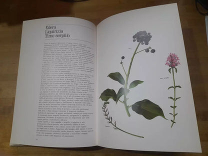 LE PIANTE DELLA SALUTE. ATLANTE DELLE PIANTE MEDICINALI. AA.VV. MONDADORI 1980.