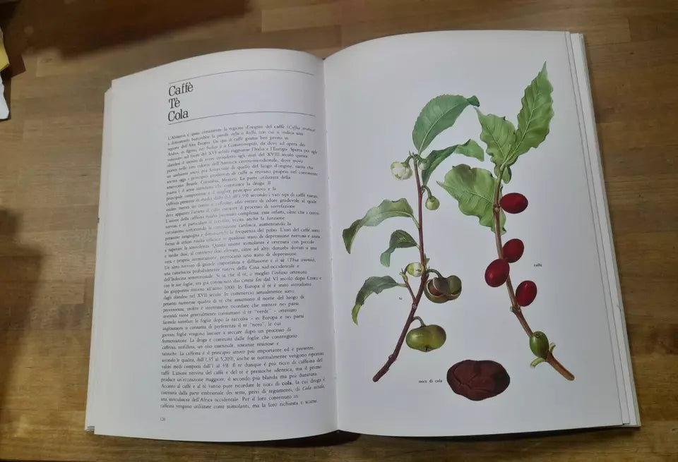 LE PIANTE DELLA SALUTE. ATLANTE DELLE PIANTE MEDICINALI. AA.VV. MONDADORI 1980.