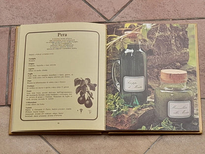FRUTTA SOTTOVETRO. ANGELO SORZIO. F.LLI FABBRI EDITORI. COLLANA: CONSERVATUTTO. 4° RISTAMPA 1976.