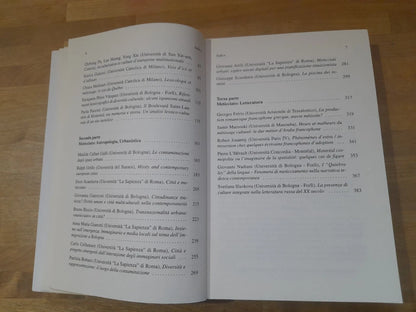 IL METICCIATO CULTURALE. LUOGO DI CREAZIONE, DI NUOVE IDENTITA' O DI CONFLITTO?. AA.VV. CLUEB EDIZIONI 2005. COLLANA: HEURESIS III.