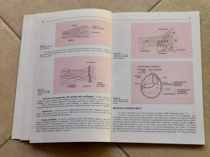 LESIONI DEI TESSUTI MOLLI IN MEDICINA DELLO SPORT. SYLVIA LACHMANN. MOMENTO MEDICO EDIZIONI. EDIZIONE ITALIANA 1989.