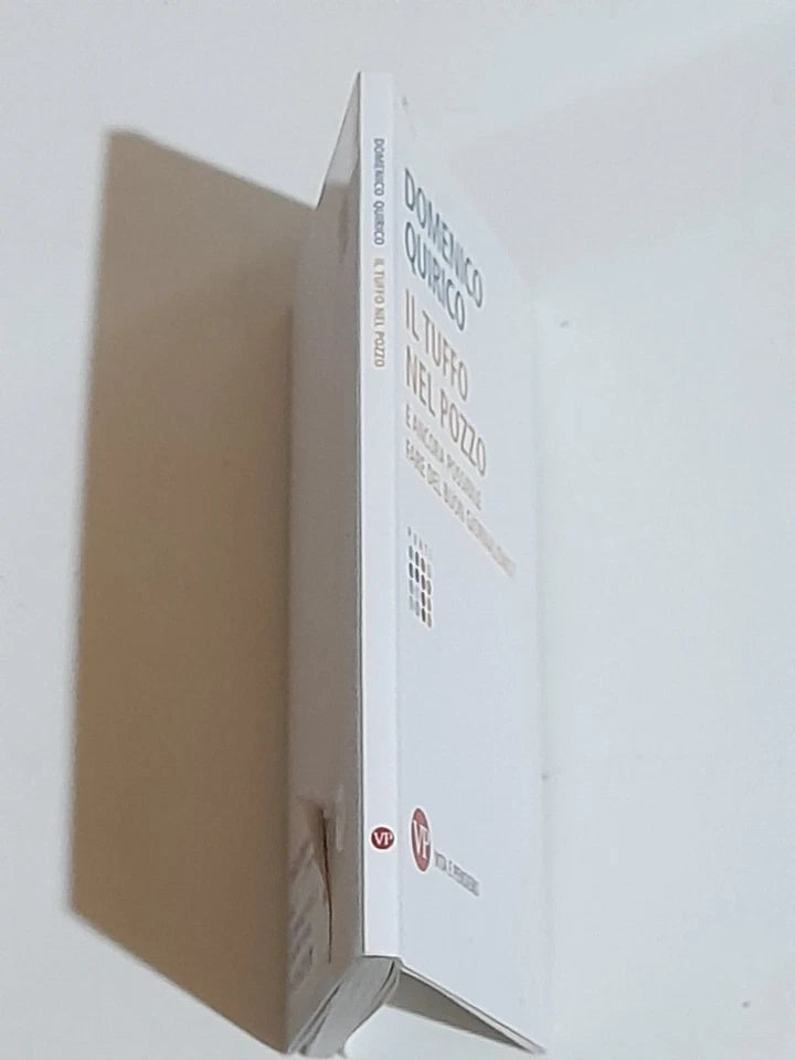 IL TUFFO NEL POZZO. DOMENICO QUIRICO. VITA E PENSIERO EDIZIONI. 1° EDIZIONE 2017. COLLANA: PUNTI.